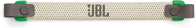 JBL Charge 6 - Portable Waterproof & Drop-Proof Bluetooth Speaker, Bold JBL Pro