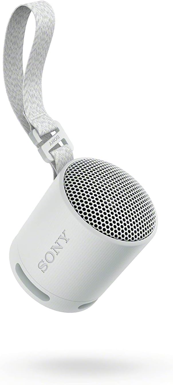 Sony SRSXB100/H Portable Mp3 Player Wireless Speaker Systems Light Gray