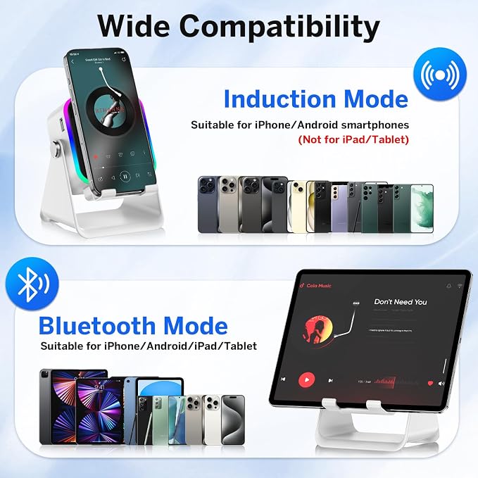Wireless Induction Speaker 5-in-1 Bluetooth Speaker