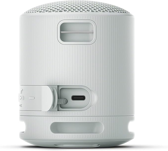 Sony SRSXB100/H Portable Mp3 Player Wireless Speaker Systems Light Gray