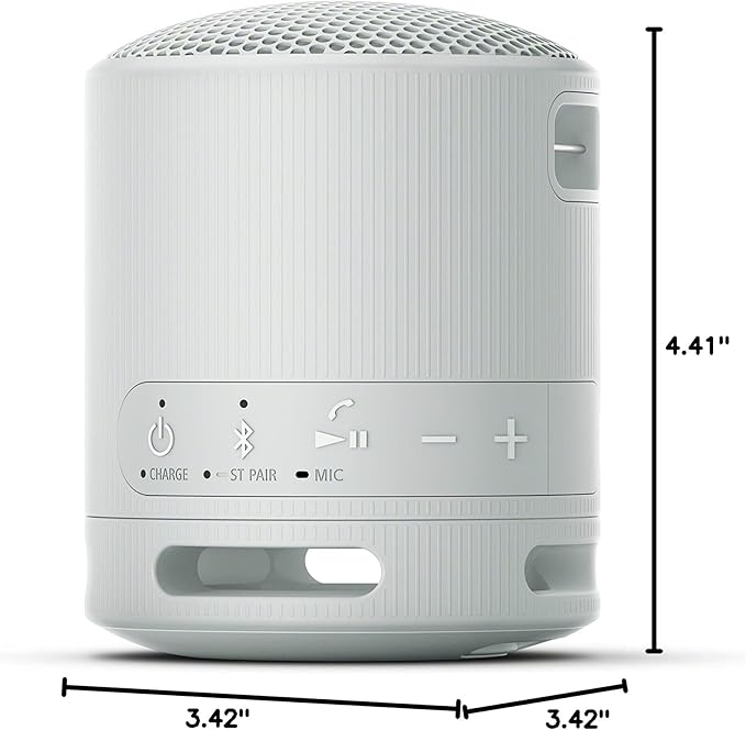 Sony SRSXB100/H Portable Mp3 Player Wireless Speaker Systems Light Gray