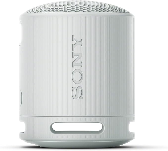 Sony SRSXB100/H Portable Mp3 Player Wireless Speaker Systems Light Gray