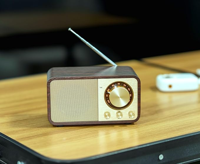 FM Radio with Bluetooth Retro Bluetooth Speaker Vintage Radio with SD/USB