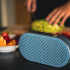 DALI Katch G2 Portable Bluetooth Speaker
