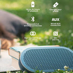 DALI Katch G2 Portable Bluetooth Speaker