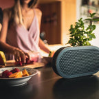 DALI Katch G2 Portable Bluetooth Speaker